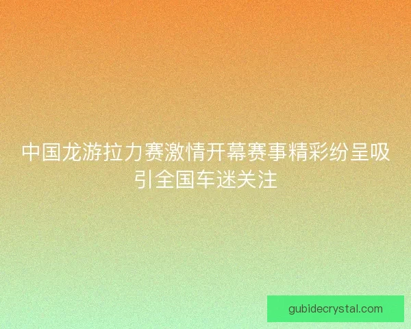 中国龙游拉力赛激情开幕赛事精彩纷呈吸引全国车迷关注