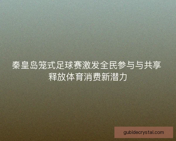 秦皇岛笼式足球赛激发全民参与与共享 释放体育消费新潜力