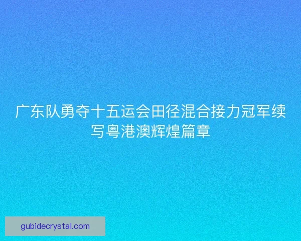 广东队勇夺十五运会田径混合接力冠军续写粤港澳辉煌篇章