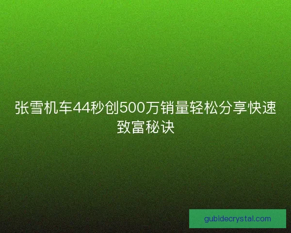 张雪机车44秒创500万销量轻松分享快速致富秘诀